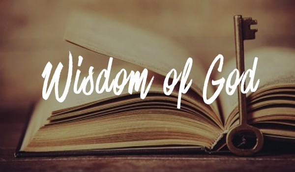 Featured image for “Wisdom of God: He is only Wise”